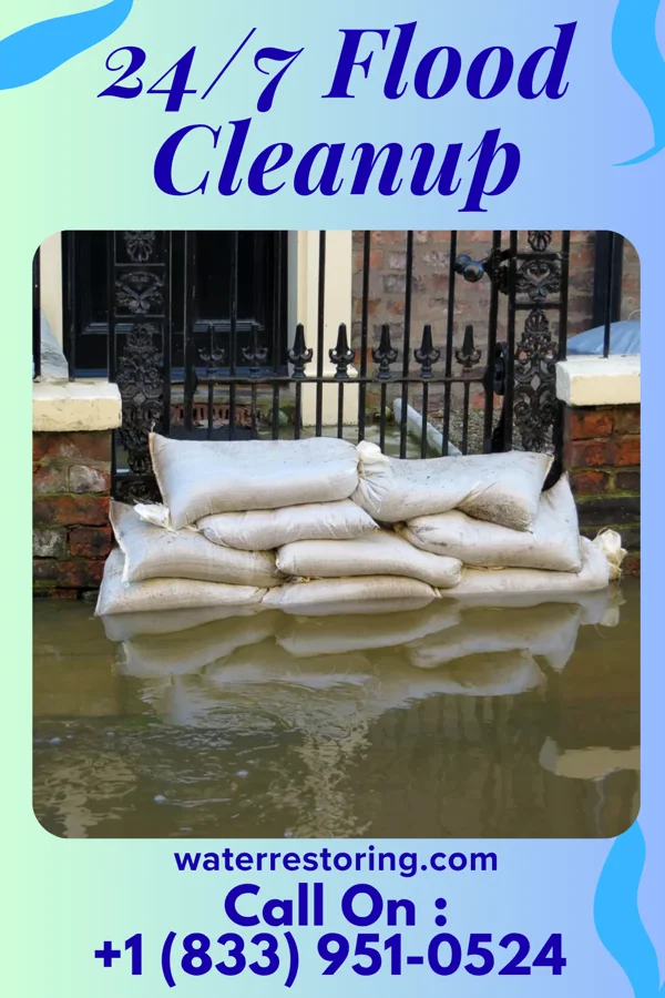 24/7 Flood Cleanup in Neelyville, MO