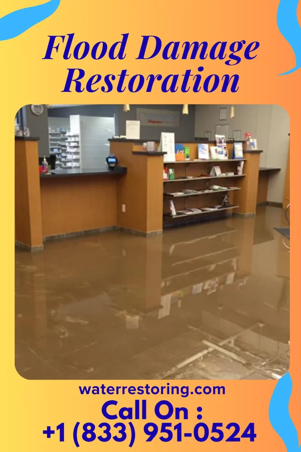 Flood Damage Restoration in Neelyville, MO