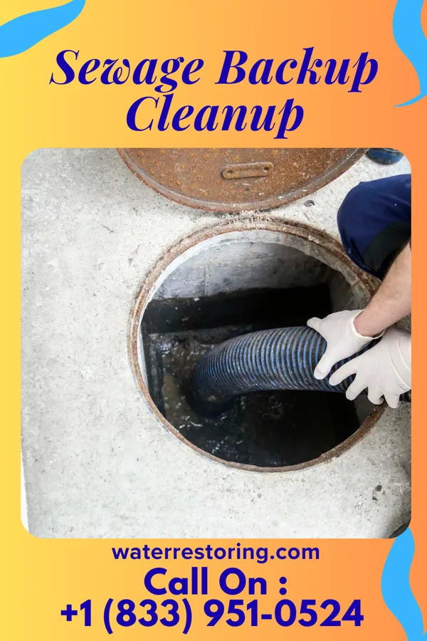 Sewage Backup Cleanup in Neelyville, MO
