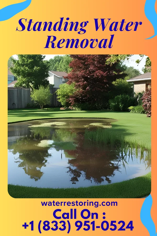Standing Water Removal in Neelyville, MO